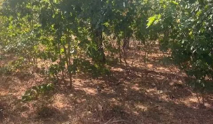 Działka inwestycyjna Otwock Świder