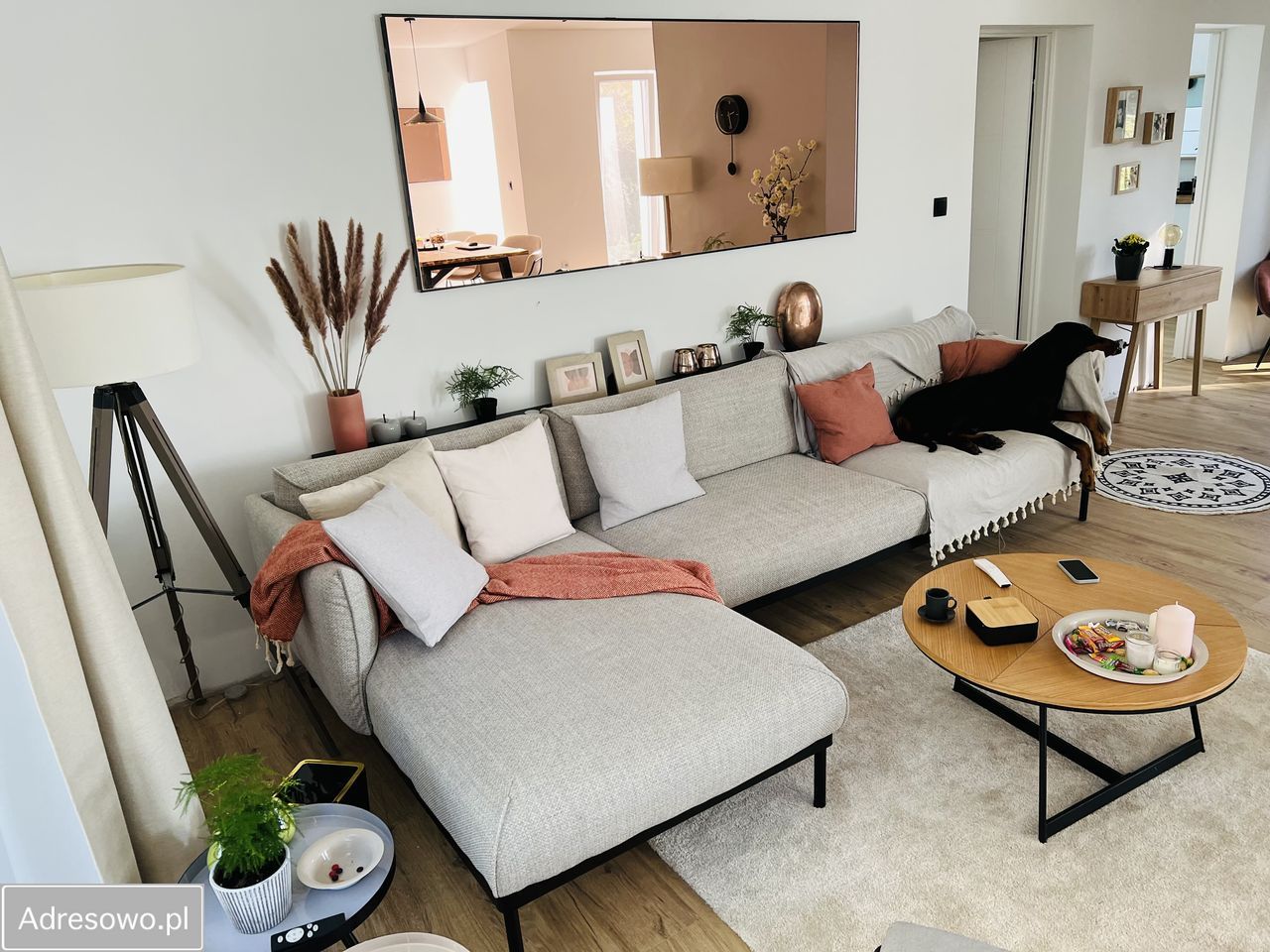 dom wolnostojący, 4 pokoje Laski Małe. Zdjęcie 8