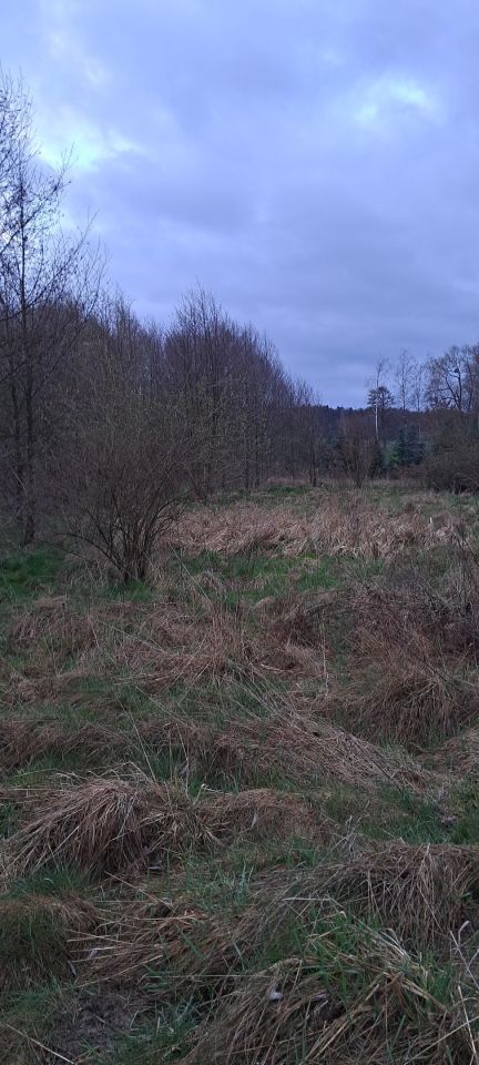 Działka rolno-budowlana Gałkówek-Kolonia. Zdjęcie 6