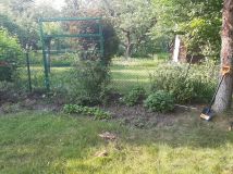 Działka rod Warszawa Mokotów. Zdjęcie 4