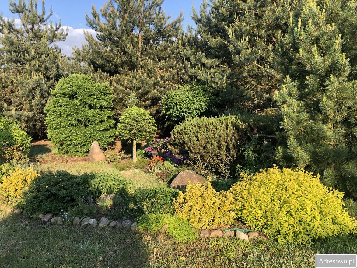 dom wolnostojący, 3 pokoje Popów-Kolonia. Zdjęcie 8