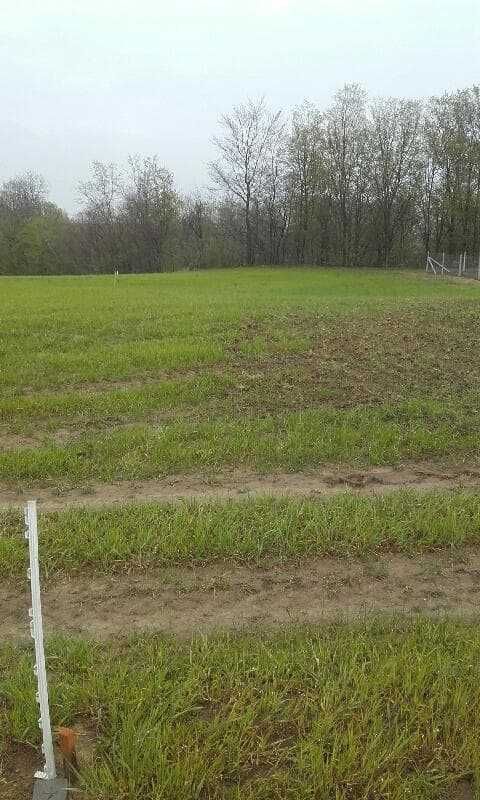 Działka rekreacyjna Lewinko. Zdjęcie 3