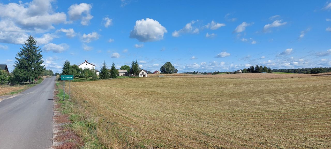 Działka rolna Ostrowite. Zdjęcie 2