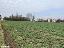 Działka rolna Czaniec Zagłębocze, ul. Zarzecze. Zdjęcie 2