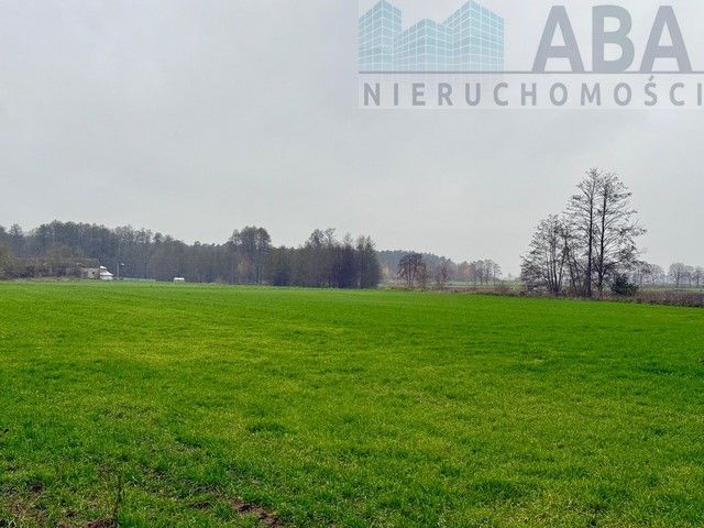 Działka inwestycyjna Wacławów. Zdjęcie 4