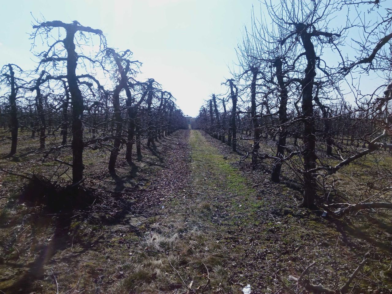 Działka budowlana Stok Lacki, ul. Szafirowa. Zdjęcie 3