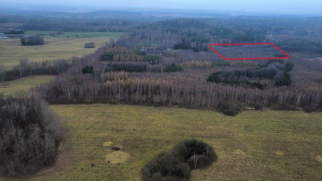 Działka leśna Niedbałki, brak. Zdjęcie 1