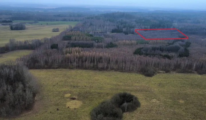 Działka leśna Niedbałki, brak