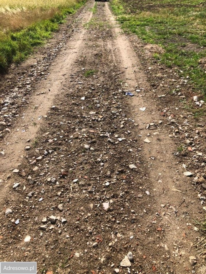 Działka budowlana Łekno. Zdjęcie 9