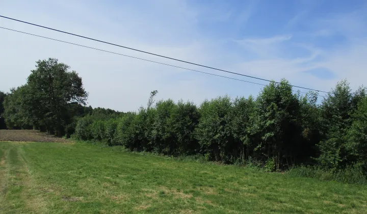 Działka rolna Wierzchowiska Pierwsze