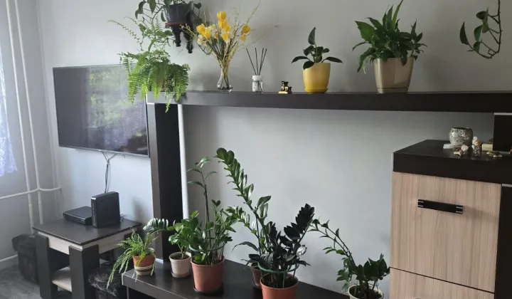 Mieszkanie 1-pokojowe Stargard Lotnisko