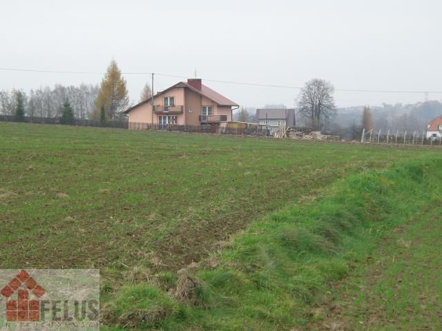 Działka budowlana Sosnowice. Zdjęcie 1