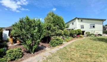 dom wolnostojący, 5 pokoi Stare Miasto, Morwowa