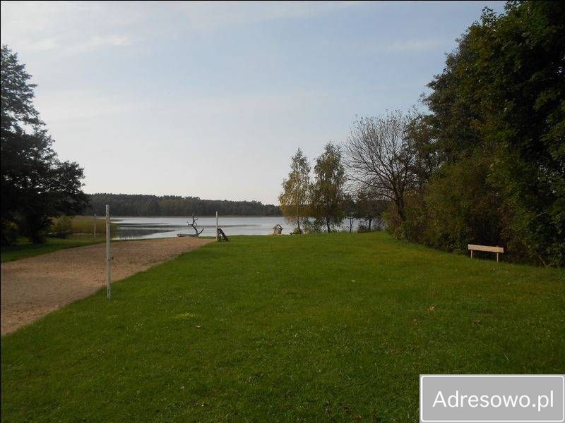 Działka siedliskowa Skolity. Zdjęcie 7