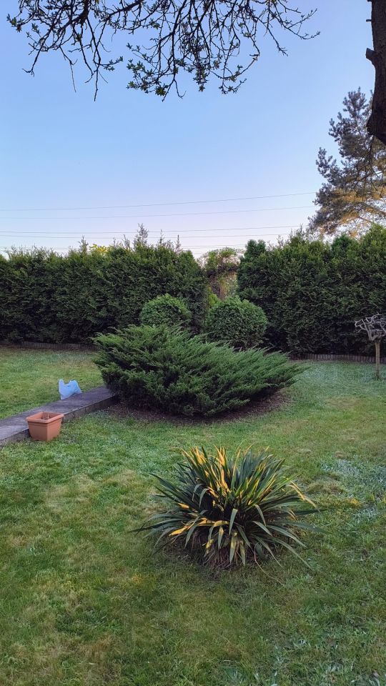 Działka rod Sosnowiec Niwka, ul. Portowa. Zdjęcie 12