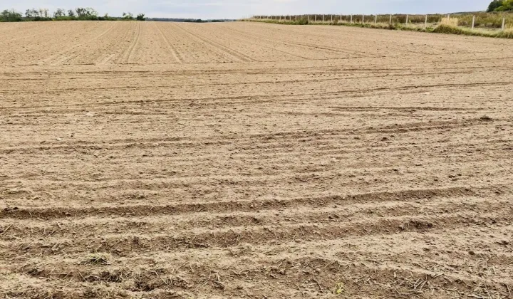 Działka siedliskowa Przysieka