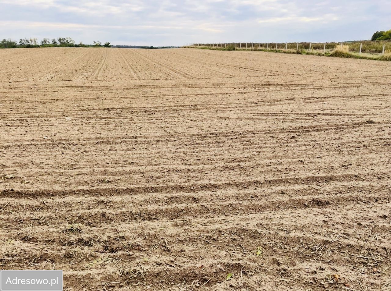 Działka siedliskowa Przysieka. Zdjęcie 1