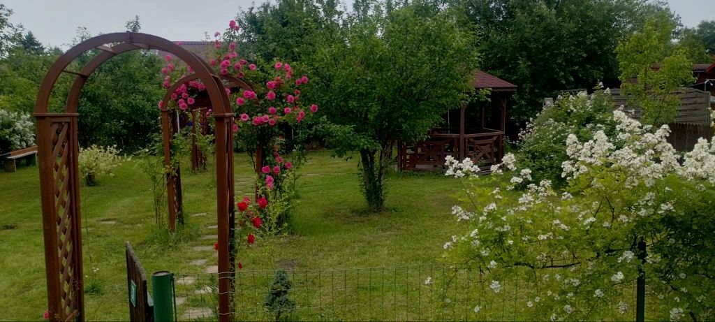 Działka rod Warszawa Ochota, ul. Żwirki i Wigury. Zdjęcie 5