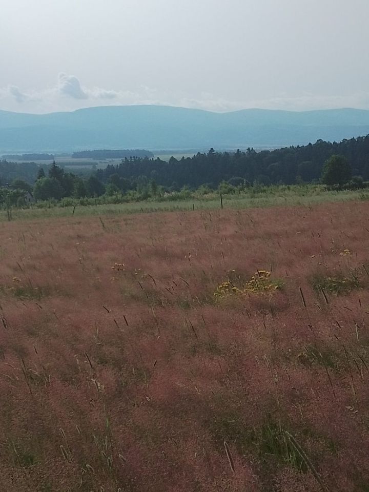 Działka rolna Ponikwa. Zdjęcie 5