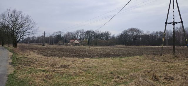 Działka siedliskowa Wrocław Zgorzelisko. Zdjęcie 3