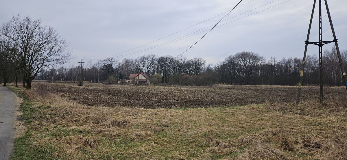 Działka siedliskowa Wrocław Zgorzelisko. Zdjęcie 3