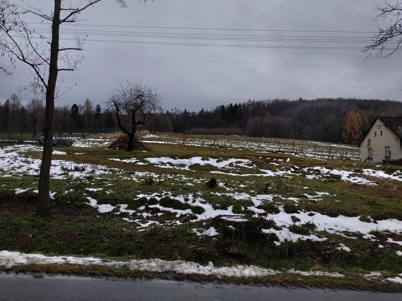 Działka budowlana Górki Wielkie Szpotawice, ul. Szpotawicka. Zdjęcie 3