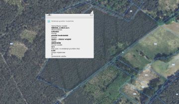 Działka leśna Grochów