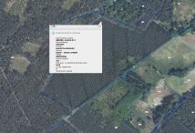 Działka leśna Grochów