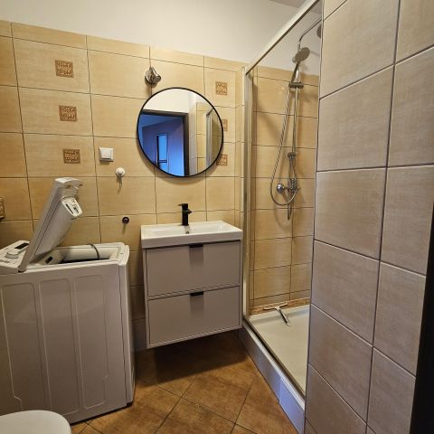 Mieszkanie 1-pokojowe Poznań Winogrady, ul. Serbska. Zdjęcie 3