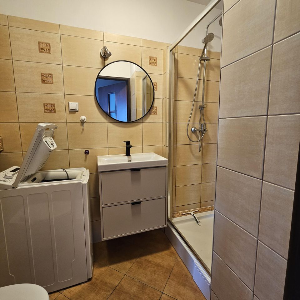 Mieszkanie 1-pokojowe Poznań Winogrady, ul. Serbska. Zdjęcie 6