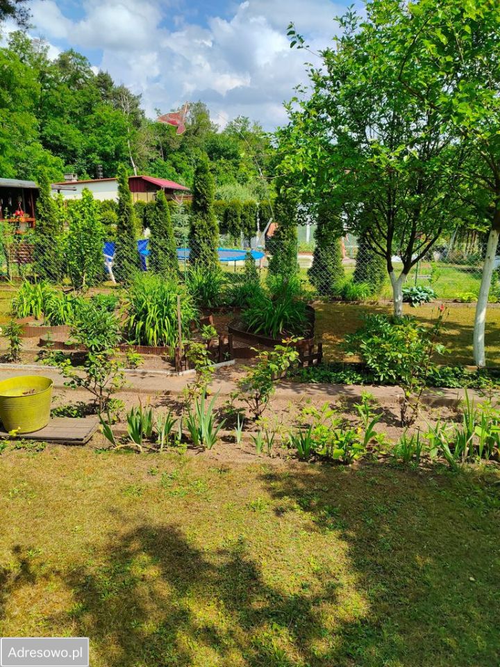 Działka rod Łódź Bałuty, ul. Krajowa. Zdjęcie 13