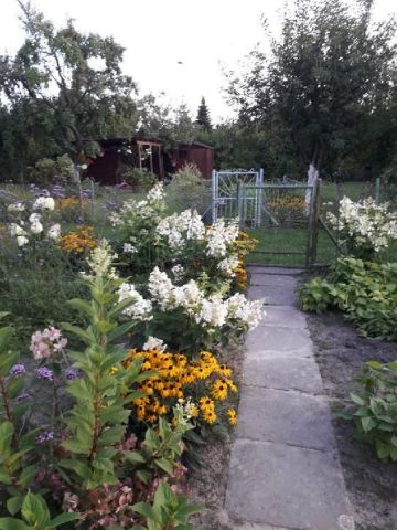 Działka rod Gorzów Wielkopolski, ul. Srebrna. Zdjęcie 1