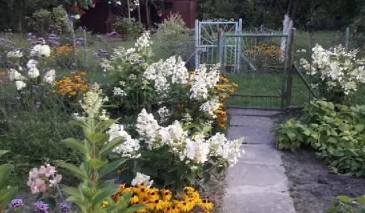 Działka rod Gorzów Wielkopolski, ul. Srebrna