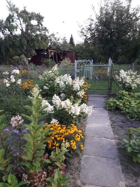 Działka rod Gorzów Wielkopolski, ul. Srebrna. Zdjęcie 1