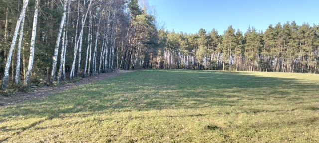 Działka budowlana Borek. Zdjęcie 1