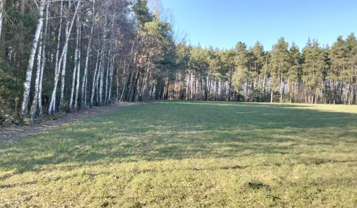 Działka budowlana Borek