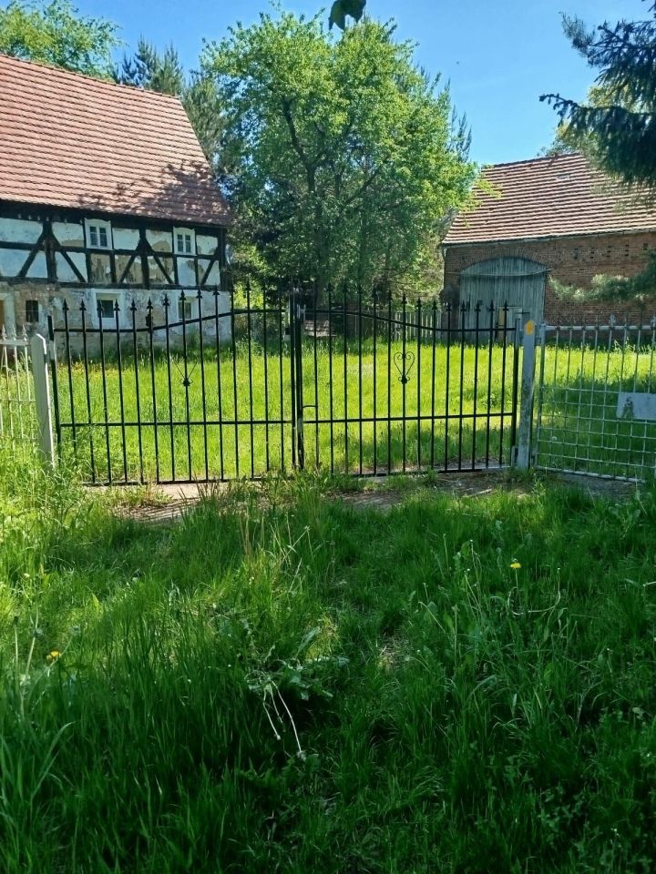 Działka budowlana Rudzica. Zdjęcie 1