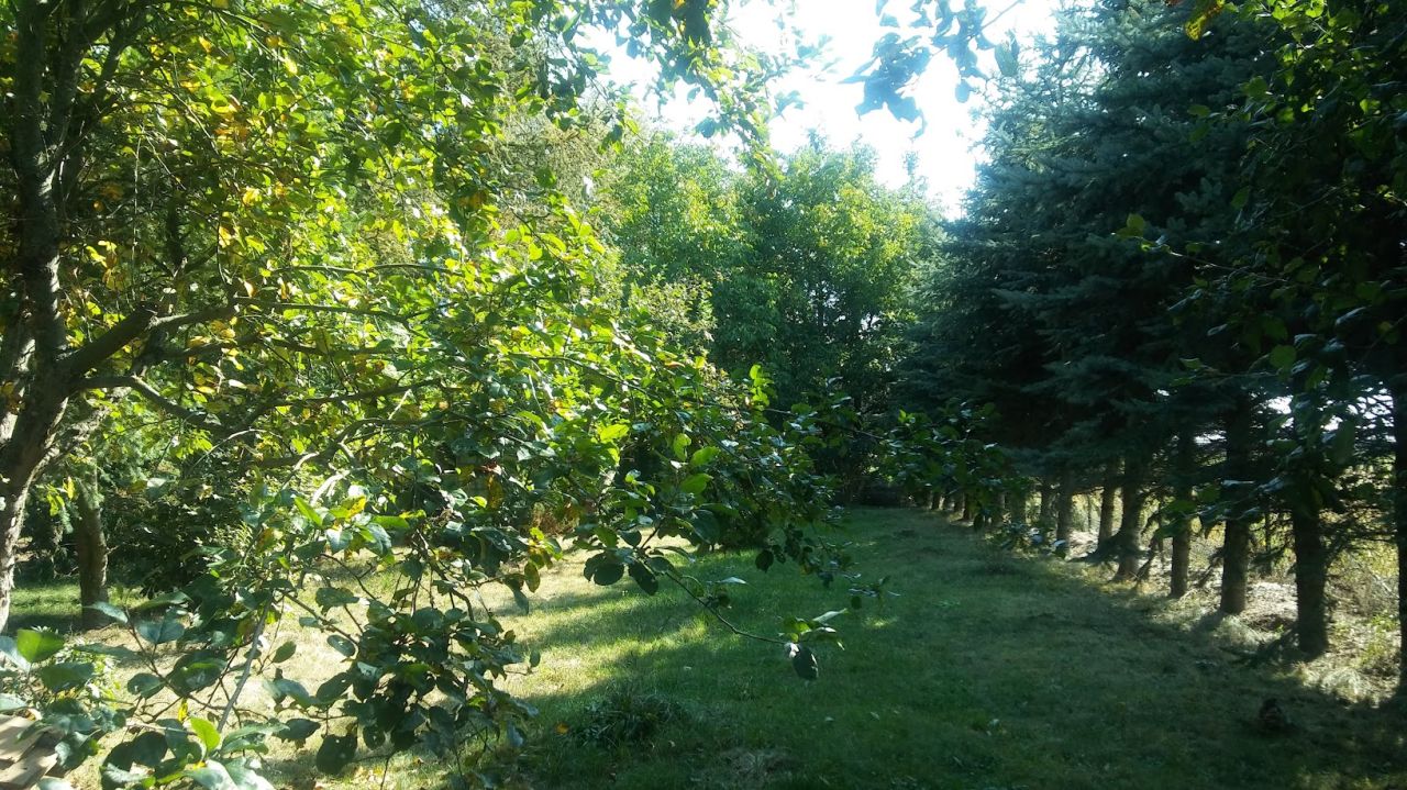 Działka budowlana Stary Uścimów. Zdjęcie 4