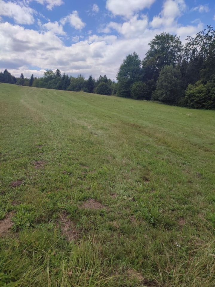 Działka budowlana Werlas. Zdjęcie 5