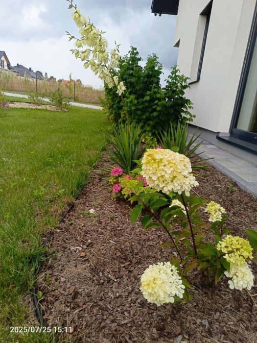 dom wolnostojący, 7 pokoi Kielno, ul. Miodowa. Zdjęcie 9