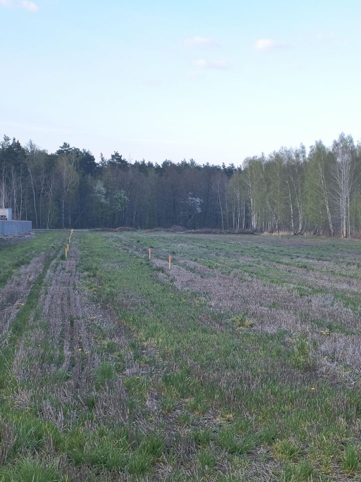 Działka budowlana Galewice Stefanek, ul. Stefana Żeromskiego. Zdjęcie 4