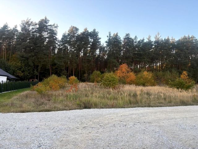Działka budowlana Koźlice. Zdjęcie 1