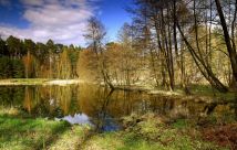 Działka rolna Kiełpin. Zdjęcie 3