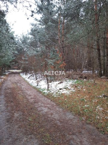 Działka budowlana Kuklówka Radziejowicka. Zdjęcie 3