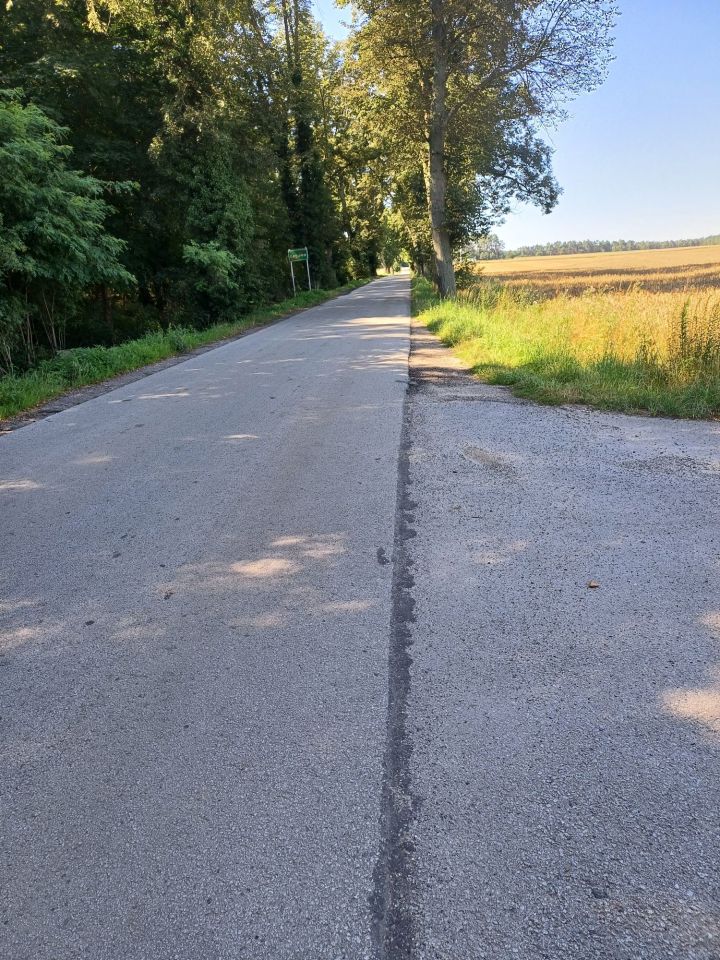 Hala/magazyn Łęgowo. Zdjęcie 6