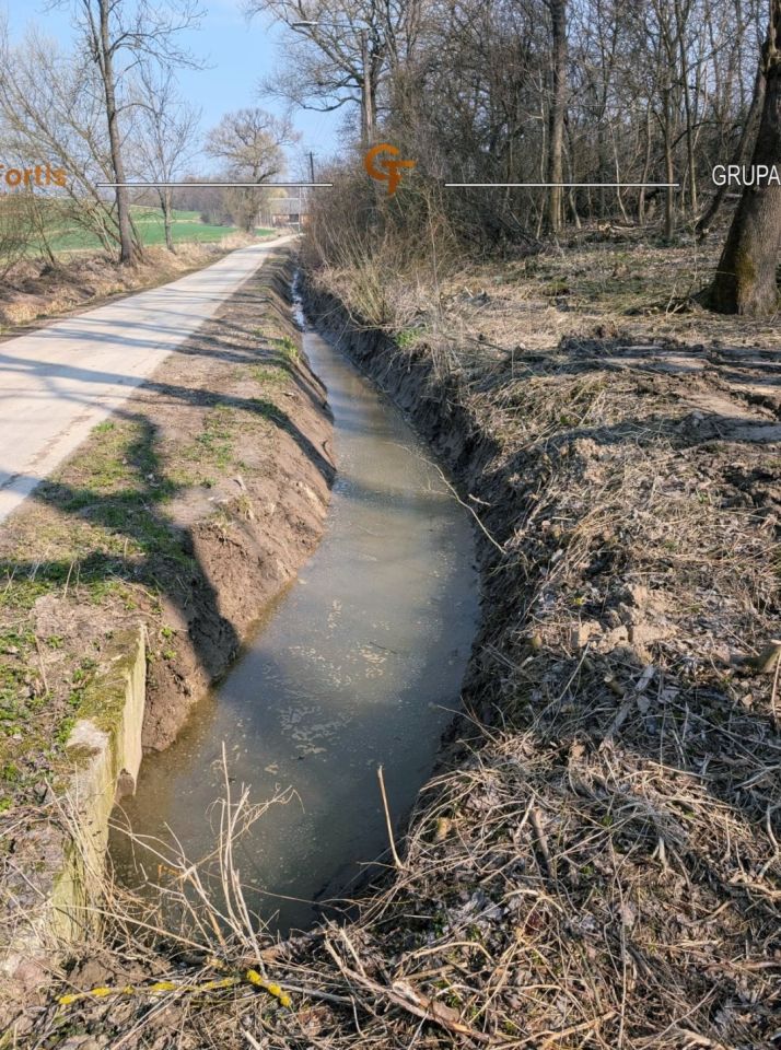Działka siedliskowa Dębiany. Zdjęcie 9
