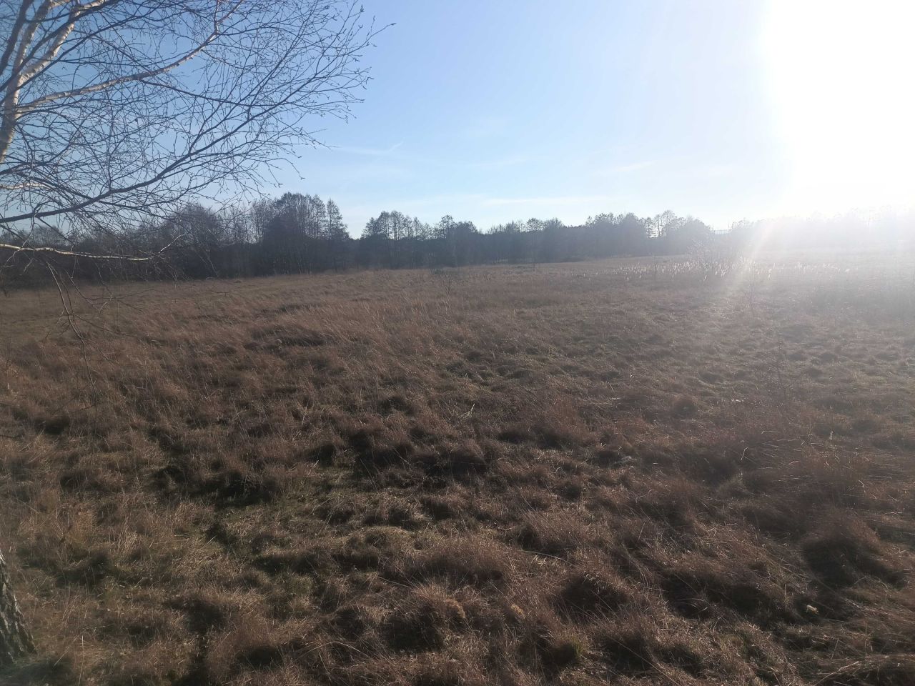 Działka budowlana Szczerców. Zdjęcie 6