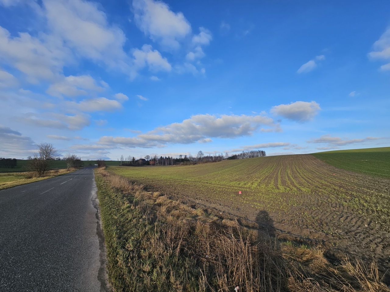 Działka rolno-budowlana Przyrowa. Zdjęcie 2