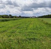 Działka budowlana Nawóz Gościniec. Zdjęcie 4