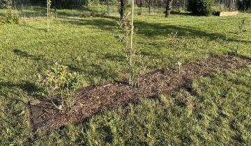 Działka rod Osiedle Niewiadów